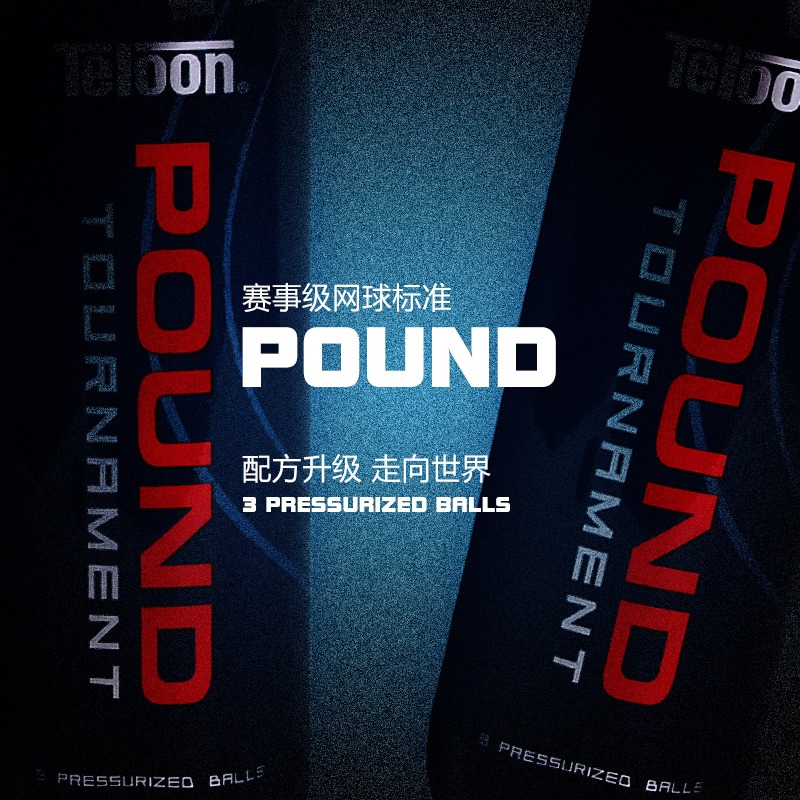 天龙网球POUND专业比赛用球P4冲击波耐打磨罐装高弹性训练球TOUR - 图2