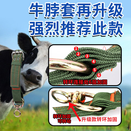 加厚栓牛脖套神器羊用项圈牛脖子套拴牛专用绳子新款牛龙头套绳子 - 图0