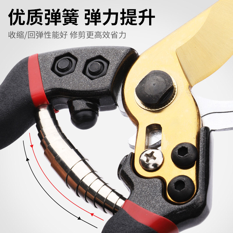 修羊蹄子剪刀修猪蹄钳子兽用剪脚趾指甲剪刀神器牛蹄修理专用工具,淘宝优惠券,粉丝福利购,淘宝优惠卷