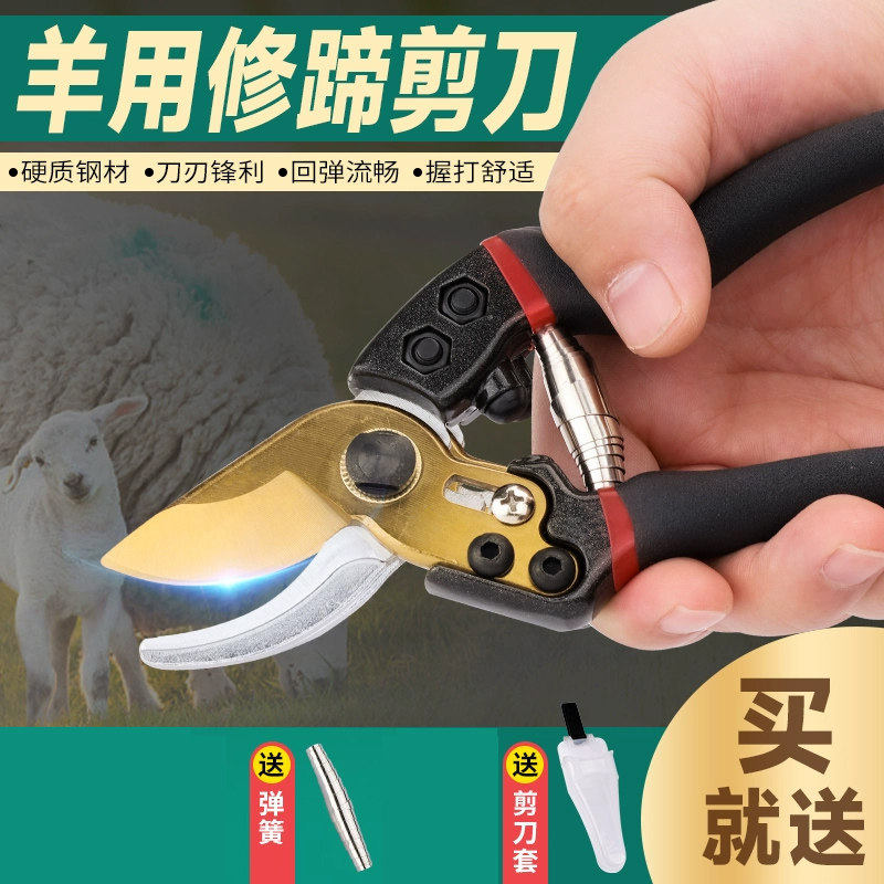 修羊蹄子剪刀修猪蹄钳子兽用剪脚趾指甲剪刀神器牛蹄修理专用工具,淘宝优惠券,粉丝福利购,淘宝优惠卷