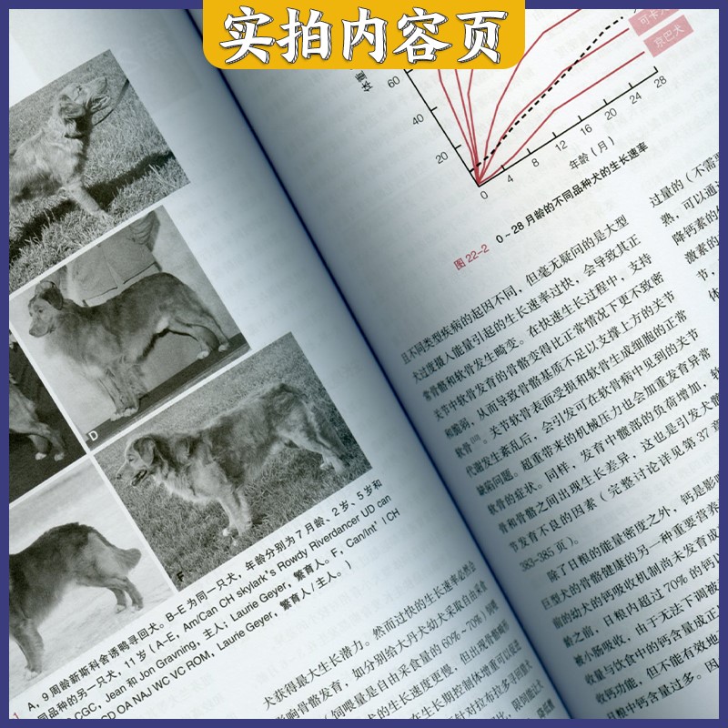 犬猫营养学9787572303173 陈江楠许佳夏兆飞主译山东科学技术出版社 犬猫疫病小动物营养 从营养饮食上预防控制疾病让犬猫健康长寿 - 图3