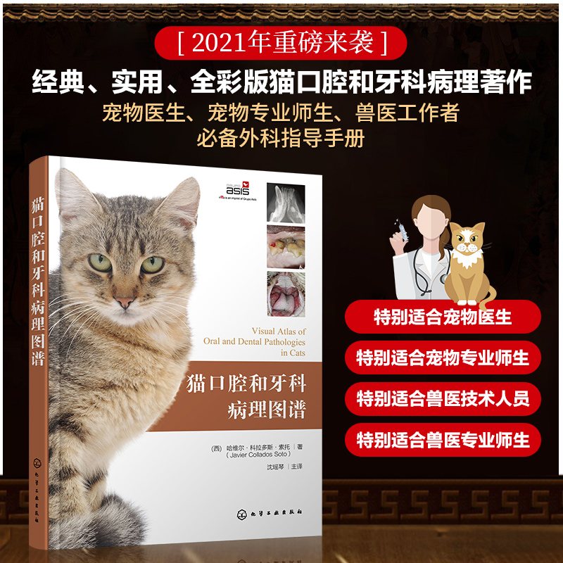 猫系犬系推荐品牌 新人首单立减十元 21年6月 淘宝海外 猫系犬系推荐品牌 新人首单立减十元 21年6月 淘宝海外