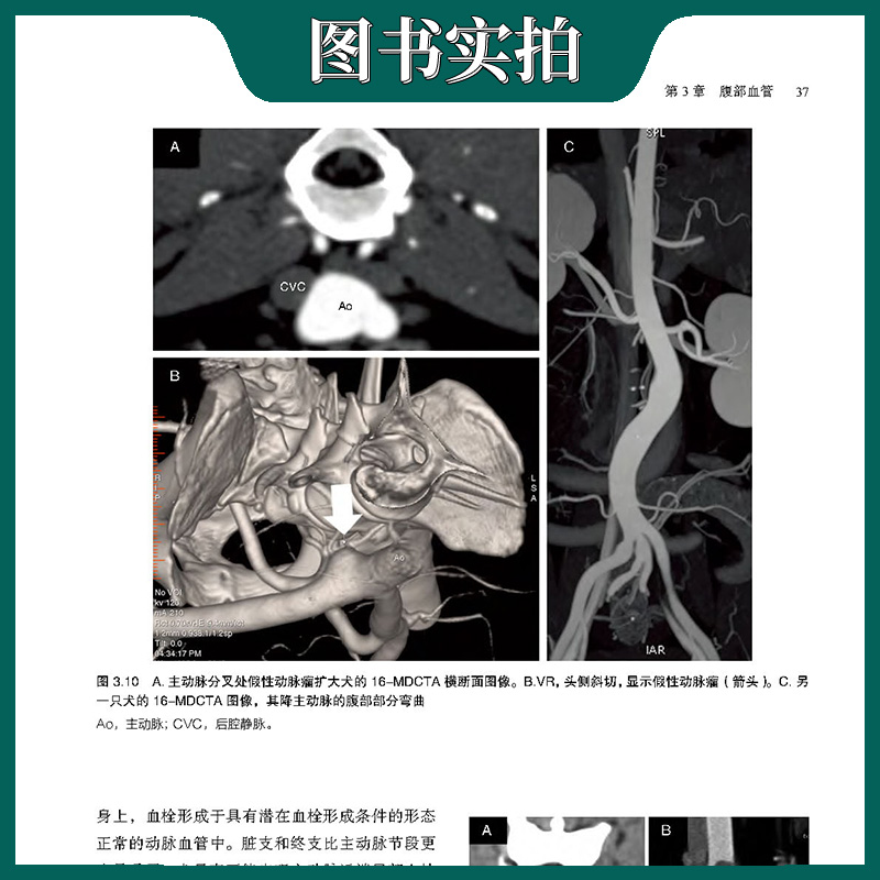 小动物多排螺旋CT:基础原理、技术与临床应用主编[意]乔瓦娜·贝托里尼( Glovanna Bertolini)主译傅梦竹戴榕全谢富强-图3