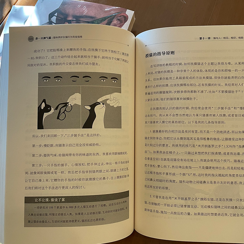 养一只神气猫 猫咪养护及猫行为完全指南 猫咪养护入门养猫指南宠物饲养 养猫书籍猫咪养护和行为管教宠物猫科学喂养书