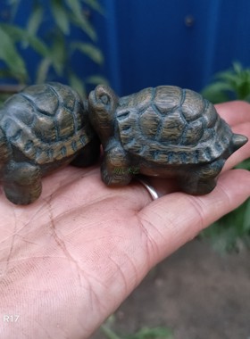 阿根廷绿檀长寿龟木雕文玩工艺品