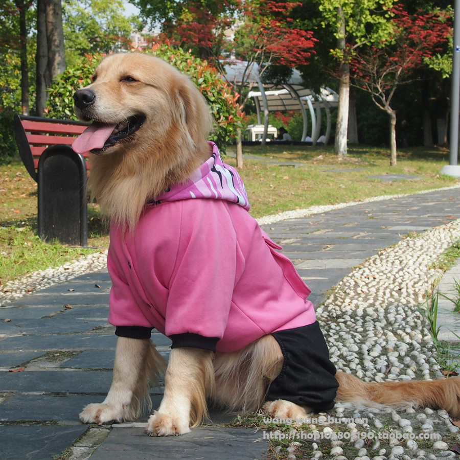 大狗狗衣服新款萨摩耶秋田金毛中大型犬宠物卫衣秋冬装加绒四脚衣-图2