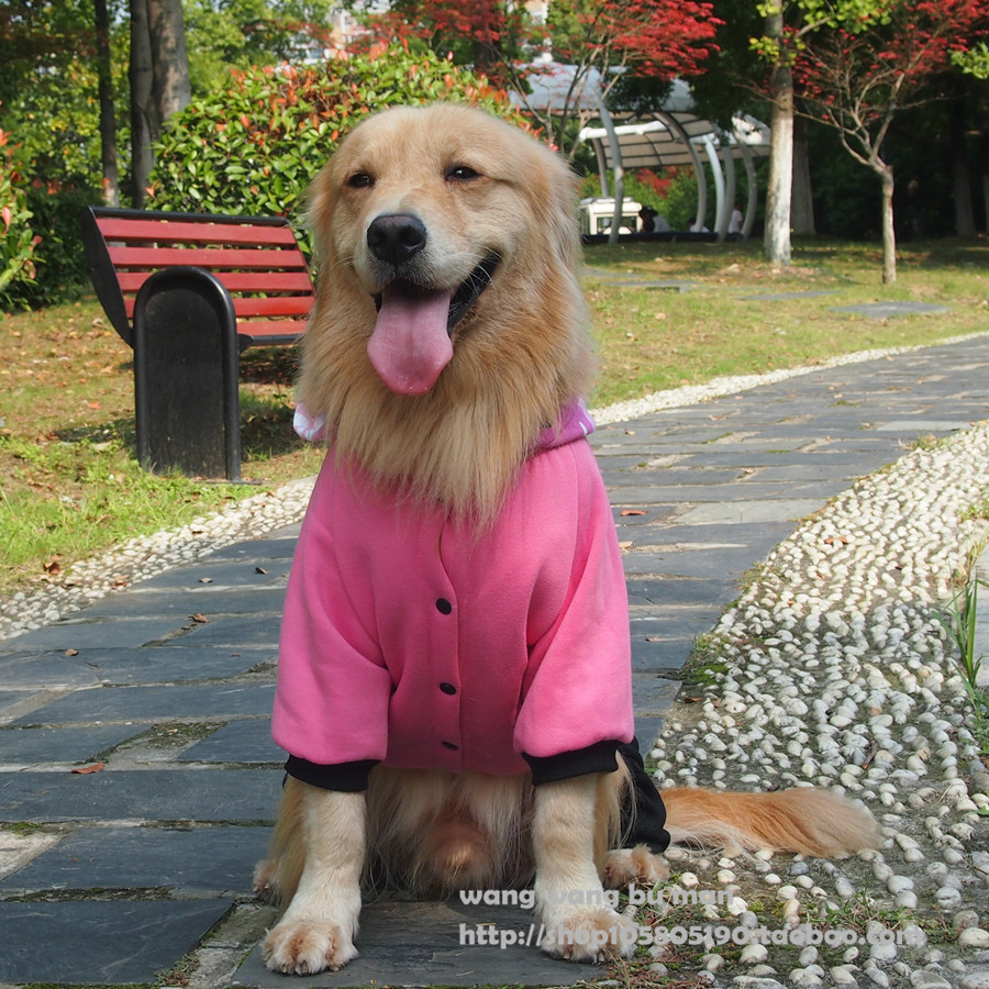 大狗狗衣服新款萨摩耶秋田金毛中大型犬宠物卫衣秋冬装加绒四脚衣-图1