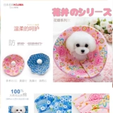 Япония Кодзима Элизабет Кот Кот Тедди Золотой Мао щенок большой круг круга ворон