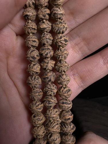 热振柏香籽原桩鬼纹横打藏式饱满高油白芽N - 图2