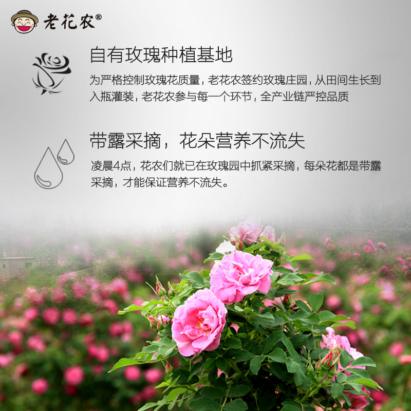 正宗老花农平阴玫瑰纯露 爽肤水纯玫瑰精油花水喷雾天然正品 500ml 正宗老花农平阴玫瑰纯露 爽肤水纯玫瑰精油花水喷雾天然正品 500ml