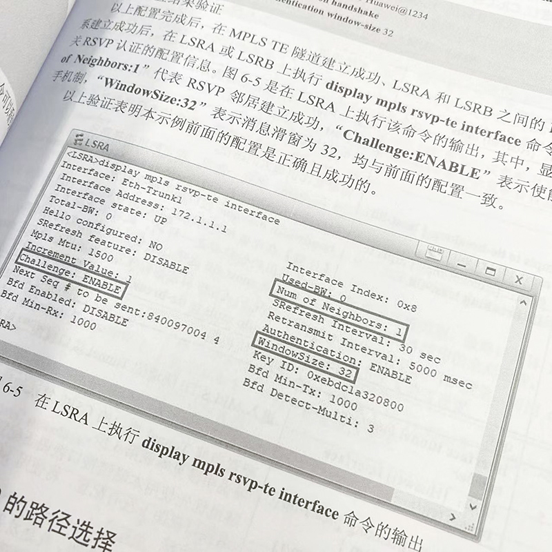 华为MPLS技术学习指南 第二2版 王达 华为官方ICT认证Datacom系列职业认证考试参考书 网络安全技术VRP系统 人邮社 - 图0