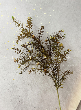九里香婚礼天津加密草单枝韩式