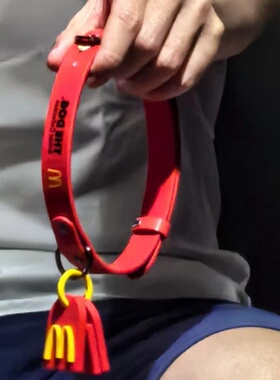 男士套脖饰品可爱听话狗狗项圈