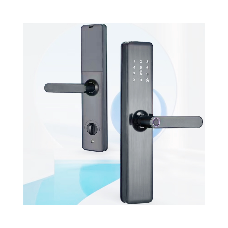 Fingerprint password swipe key Shenzhen fingerprint lock