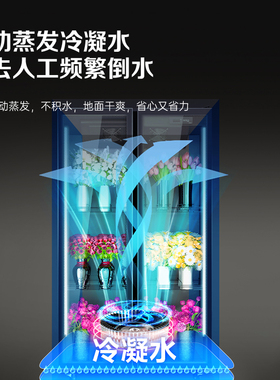 澳柯玛鲜花保鲜柜风冷无霜展示柜