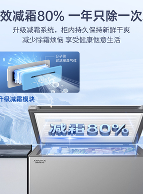 澳柯玛300L家用冰柜大容量商用冷藏冷冻冷柜308升一级能效新2026