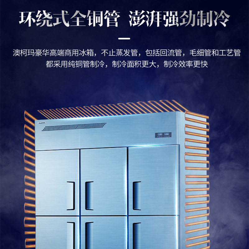 澳柯玛风冷六门商用大型容量6冰箱 澳柯玛展示柜