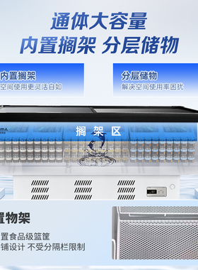 澳柯玛岛柜冰柜冷柜商用冷冻柜