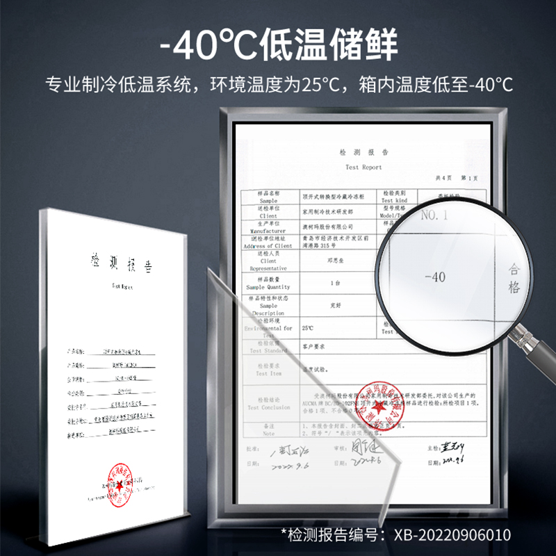 澳柯玛BC/BD-203FNE家用小冰柜减霜超低温速急冻零下-40度冷冻柜-图0