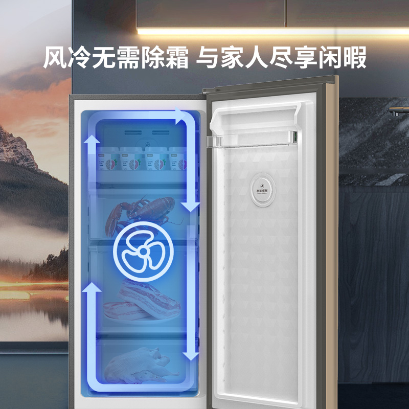 澳柯玛 BD-136WEY立式家用风冷侧开门冰柜两用冷柜无霜一级冰箱-图3