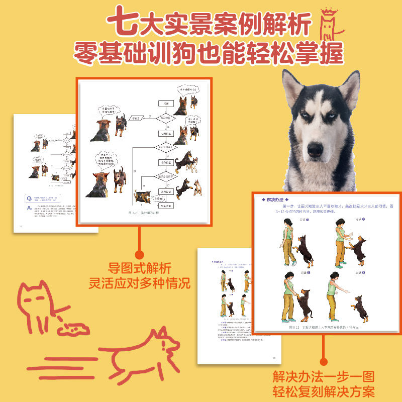 别逼我拆了你的家-狗的行为心理解读与训养宁珏垠宠物狗狗这样教主人好轻松养狗的书乱叫护食咬人不打不骂训练方法训犬驯养_虎窝淘