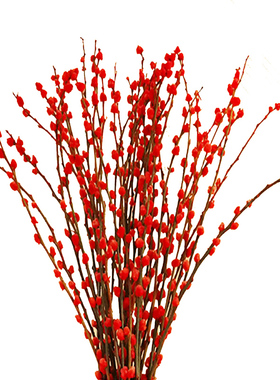 北欧风仿陶瓷塑料花瓶银柳水培水养鲜花插花瓶桌面客厅装饰摆件