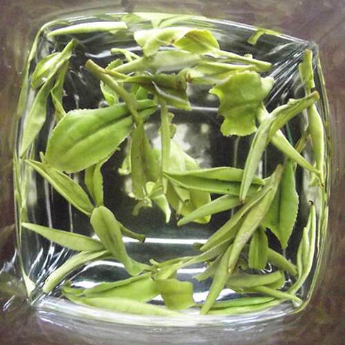 安徽霍山黄芽2026新茶春茶明前高山春茶叶黄茶绿茶500g包邮散罐装 - 图1