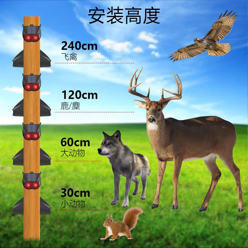 太阳能爆闪灯驱赶器天黑自动工作驱赶猫狗驱蛇鼠吓黄鼠狼防雨防盗 - 图1