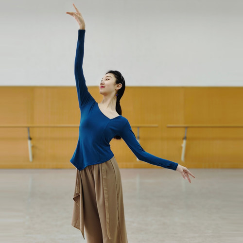 现代舞春夏舞蹈练功服上衣古典舞专业形体训练飘逸长袖服装女艺考 - 图1