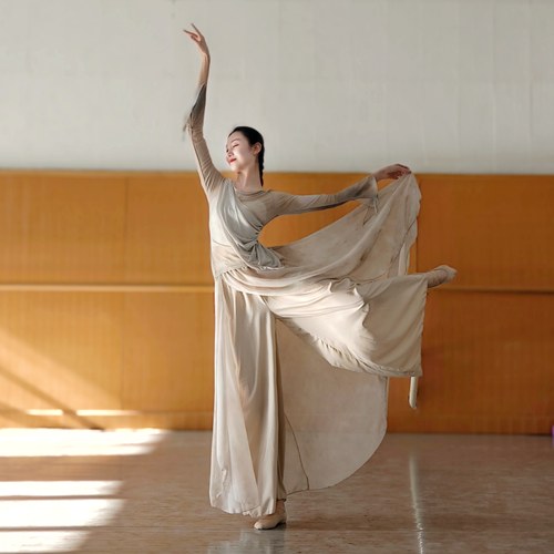 古典舞服装飘逸宽松裙裤阔腿裤女中国舞演出服舞蹈裤子汉唐舞 - 图1