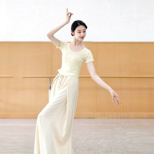 现代舞上衣古典舞练功服夏季中国舞服装女款新款显瘦时尚舞蹈衣服 - 图1