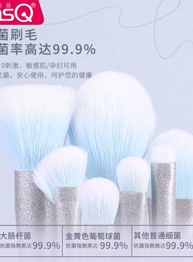 魅丝蔻11支琦遇化妆刷套装