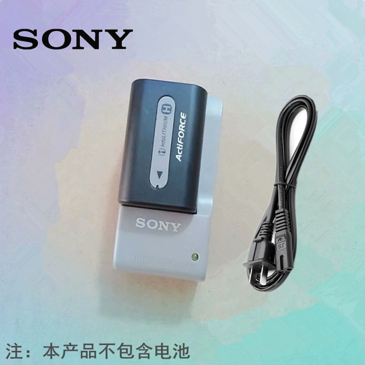 SONY/索尼FDR-AXP35 AXP55 AX30 AX40 AX45数码摄像机充电器FV50 - 图3