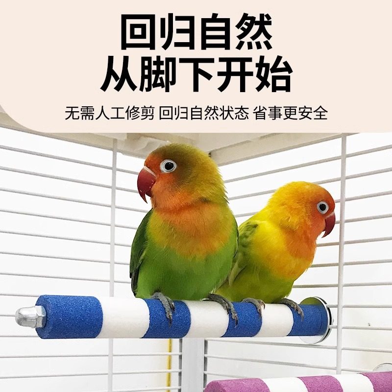 鹦鹉站杆鸟用品鸟笼配件鹦鹉磨牙棒玩具磨爪棒站架磨砂站杆站台,淘宝优惠券,粉丝福利购,淘宝优惠卷
