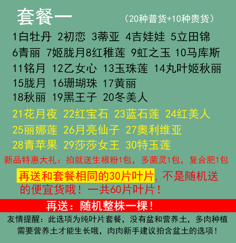 多肉叶片多肉植物叶片多肉种子韩国进口贵货叶插桃蛋叶片套餐包邮