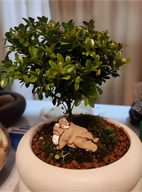 摆件弹琴人物盆景微型陶瓷装饰品