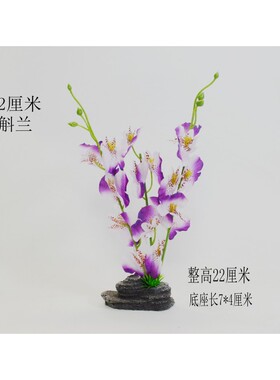 酒店意境菜品摆盘装饰围边拼盘