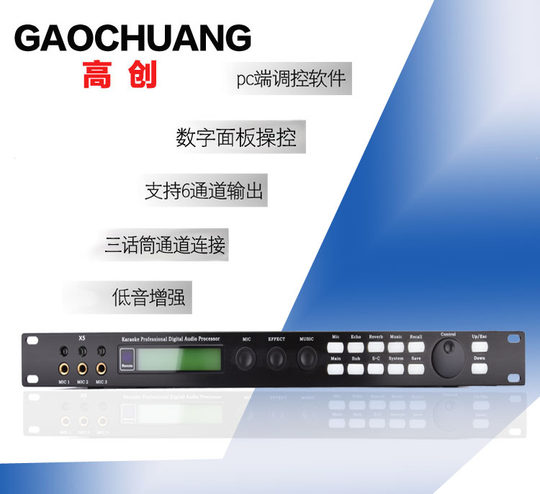 Pre-effector anti-squealing professional digital processor