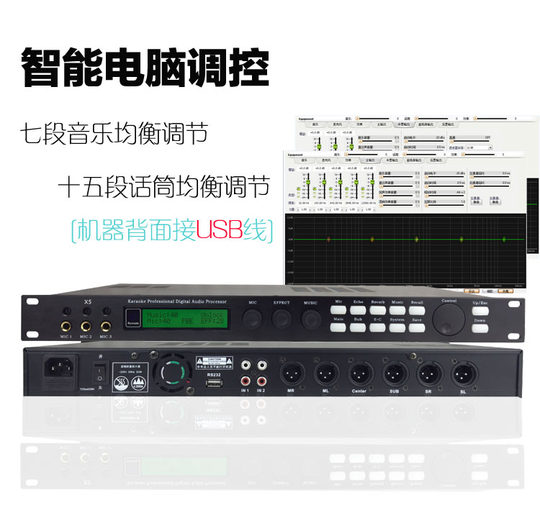 Pre-effector anti-squealing professional digital processor