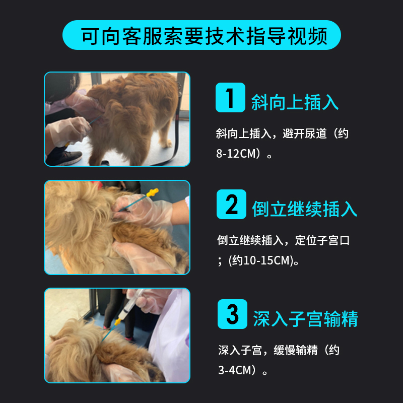 宠物发情犬舍用一次性输精管宠物狗人工授精器开口配种繁育扩张头 - 图2