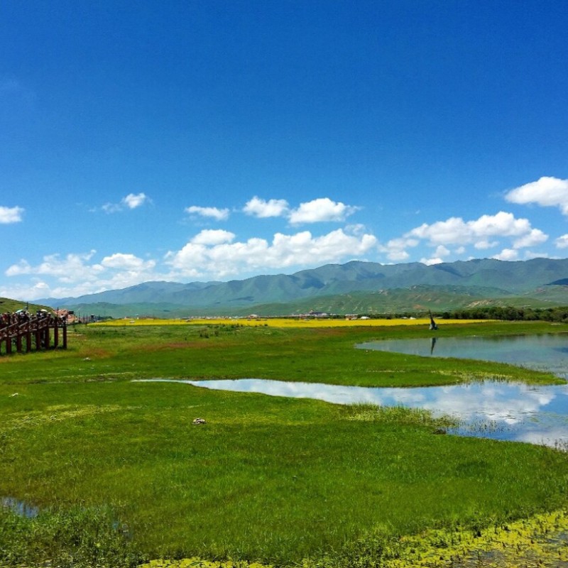 甘肃旅游甘加秘境拉卜楞寺尕海湖扎尕那洛克之路3日甘南旅游纯玩-图2