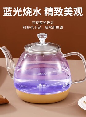 容声王牌名典茶炉配件单壶