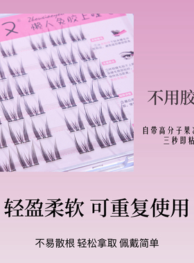 周小又免胶免卸自粘假睫毛新手懒人单簇女自然卷翘柔软猫精灵Y31