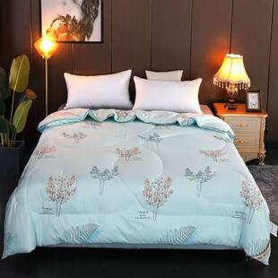 10斤！纯天然蚕丝被桑蚕丝保暖冬被四季被子