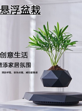 办公室家居自转磁悬浮花盆盆栽装饰摆件创意礼物送领导老师礼物品