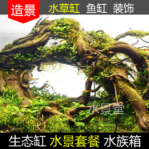 沉木造景套餐森森小金鱼缸小型水族箱超白玻璃客厅一木一叶 - 图3