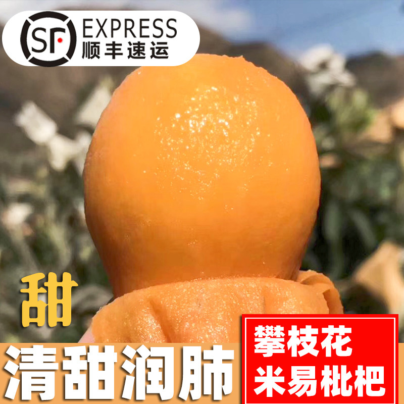 顺丰四川攀枝花米易枇杷新鲜水果3斤当季整箱现摘琵琶果现货包邮