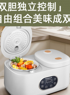 志高双区双胆电饭煲家用鸳鸯饭锅