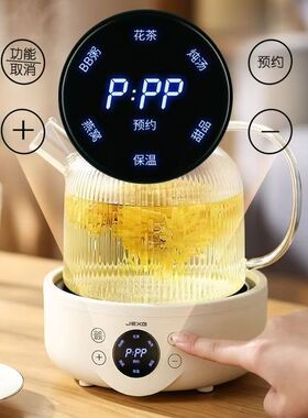 德国养生壶多功能全自动电煮茶壶