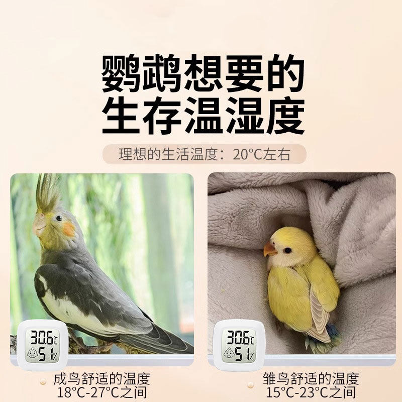 温度计鹦鹉迷你室内家用温湿度计爬宠养殖宠物乌龟电子湿度计,淘宝优惠券,粉丝福利购,淘宝优惠卷
